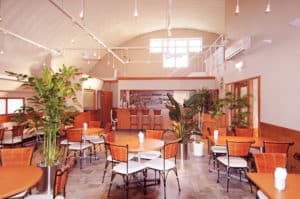 町田 ドッグカフェ 内装 デザイン 施工例 1