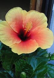 b873d61ae38241ce757f11b8d28bb5b0 e1499387071880 1