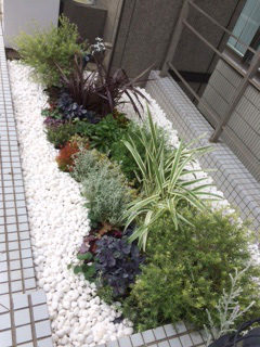 IMG 1464 e1511773514713