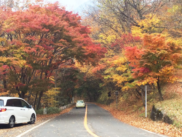 a99c004d6cfa60fe0839c774c179b4e7 e1509929490464