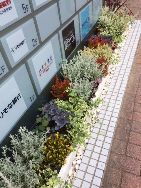 efd169b4d4e96e28103d649714ccc081 1