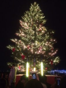 IMG 1746 e1514183348124