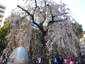 1458cfe322cadf0304d4f1ca183428a3