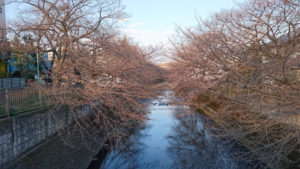 ceb7a28257db1edf425eabb7d57906dd