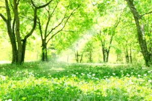 3683fcd16a4c79e00b4339c951fcb5f4 m