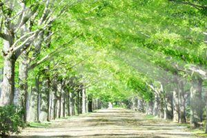 a9d563cfc26edc61773119c5711380b6 m